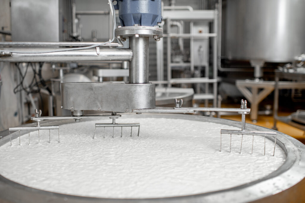 Milk and rennet mixing in a stainless tank during the fermentation process to manufacture cheese.